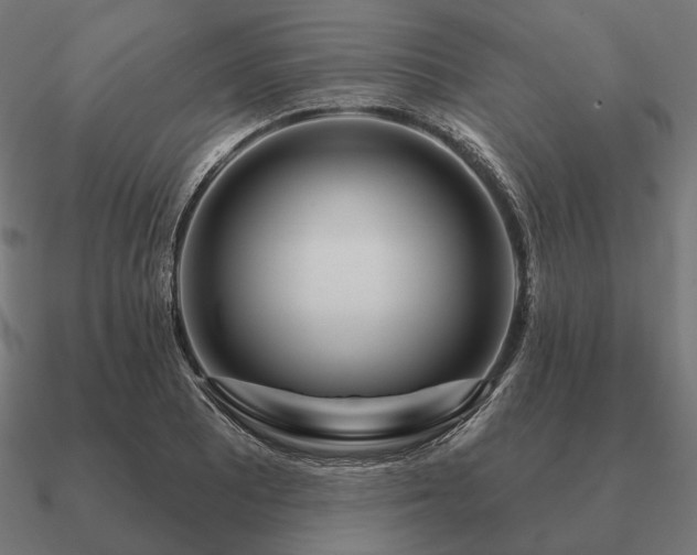 X0000090911081200708061518