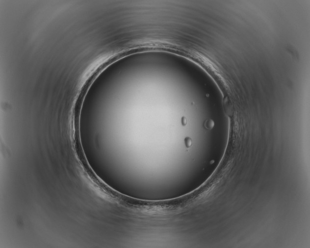 X0000090911082200708061518