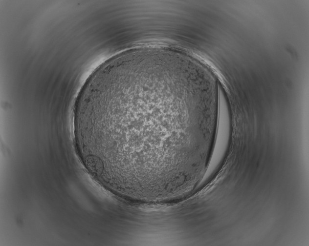 X0000090911083200708061518