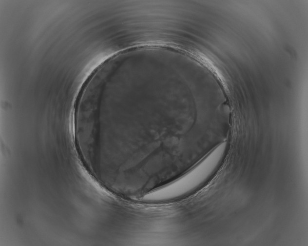 X0000090911084200708061518