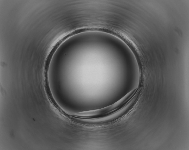 X0000090911085200708061518