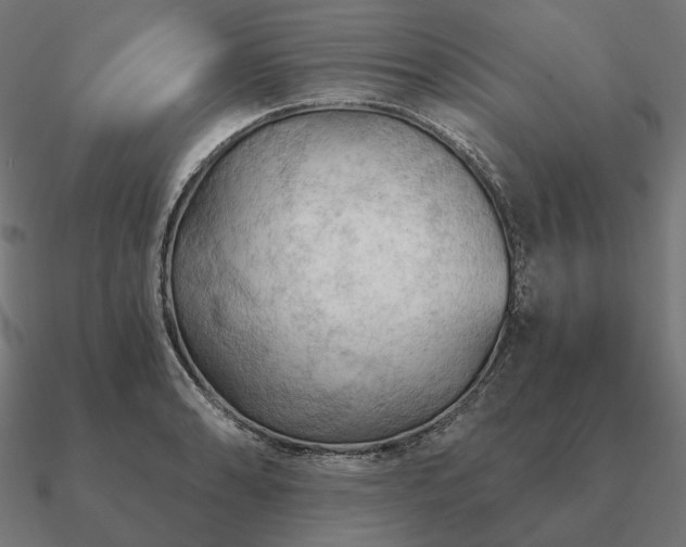 X0000090911086200708061518