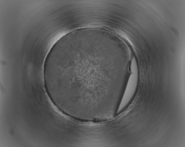 X0000090911087200708061518