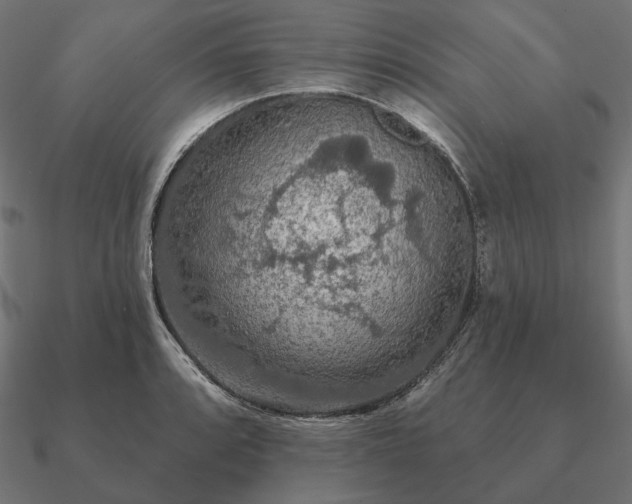 X0000090911088200708061518