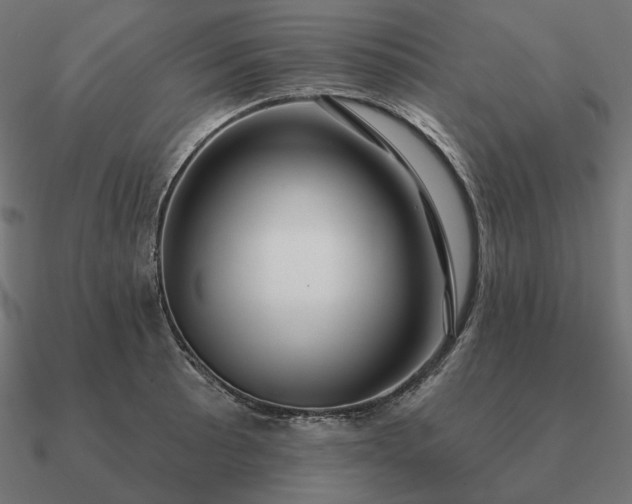 X0000090911089200708061518