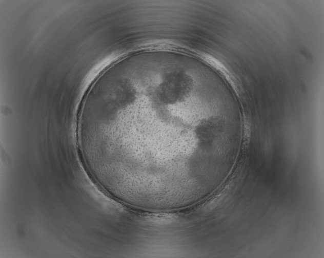 X0000090911090200708061518