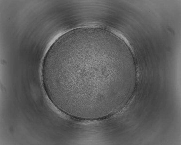 X0000090911091200708061518