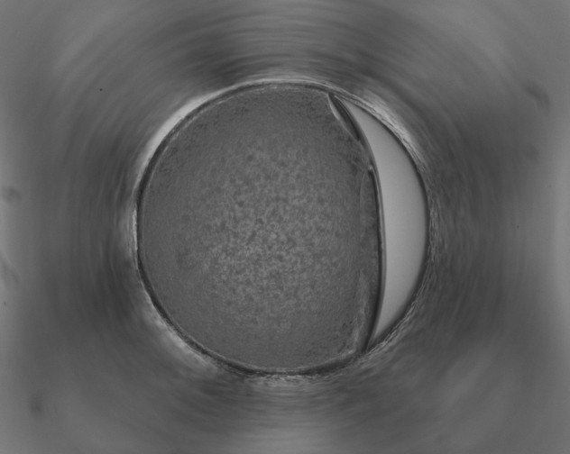 X0000090911092200708061518