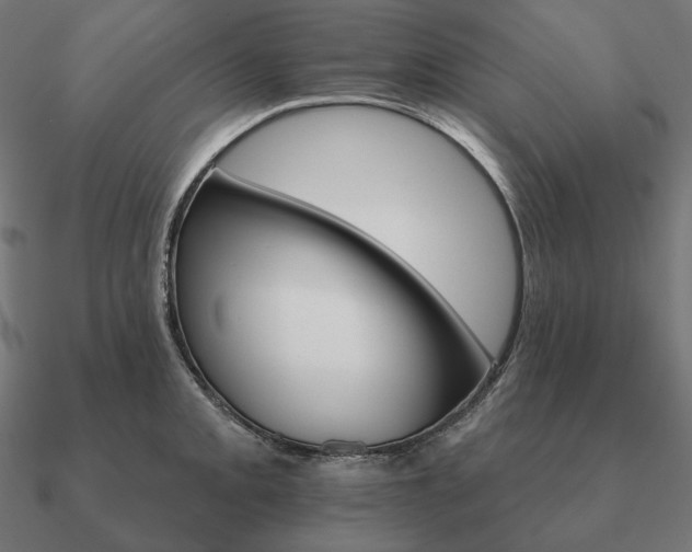 X0000090911093200708061518