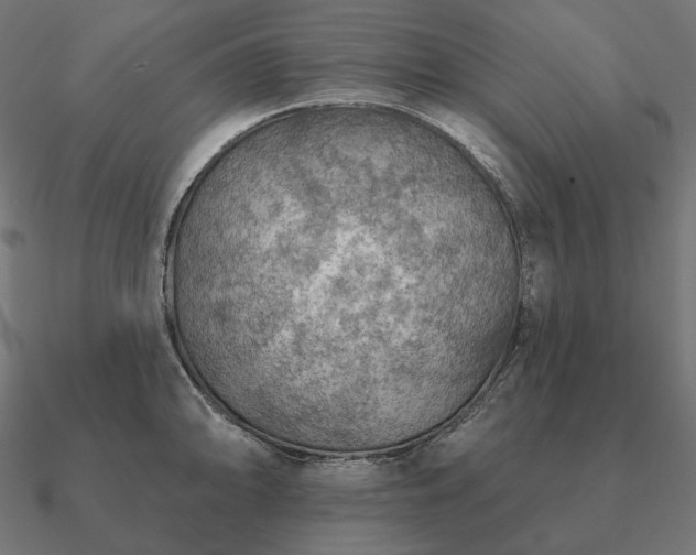 X0000090911094200708061518