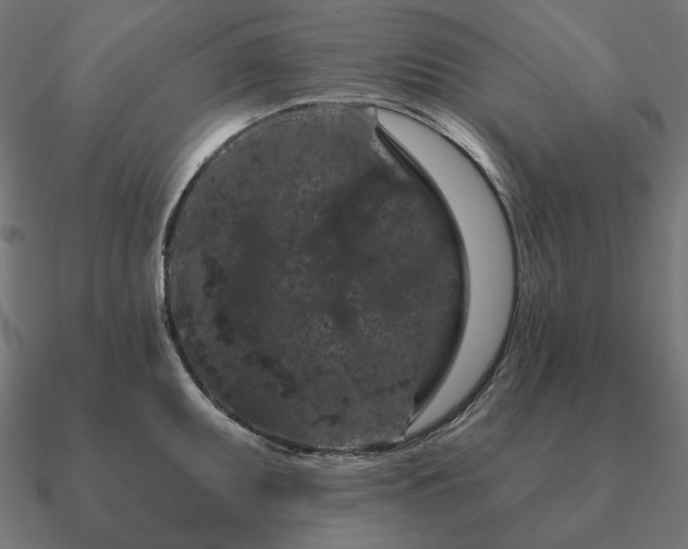 X0000090911095200708061518