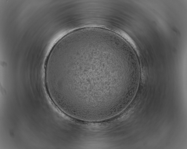 X0000090911096200708061518