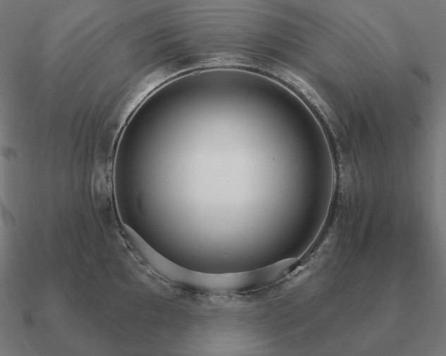 X0000090911097200708061518