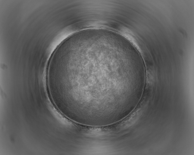 X0000090911098200708061518