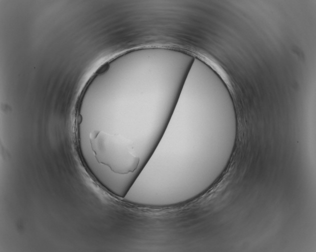 X0000090911099200708061518