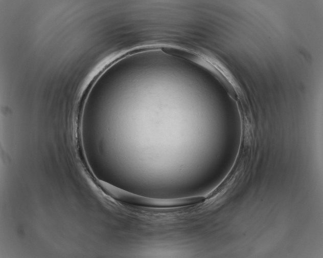 X0000090911101200708061518