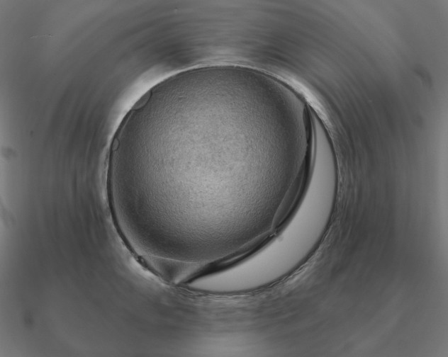 X0000090911102200708061518