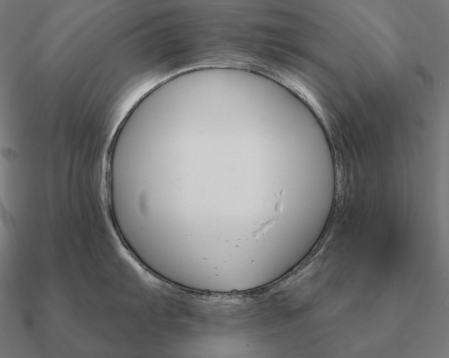 X0000090911103200708061518