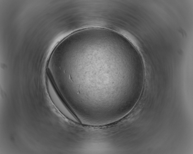 X0000090911104200708061518