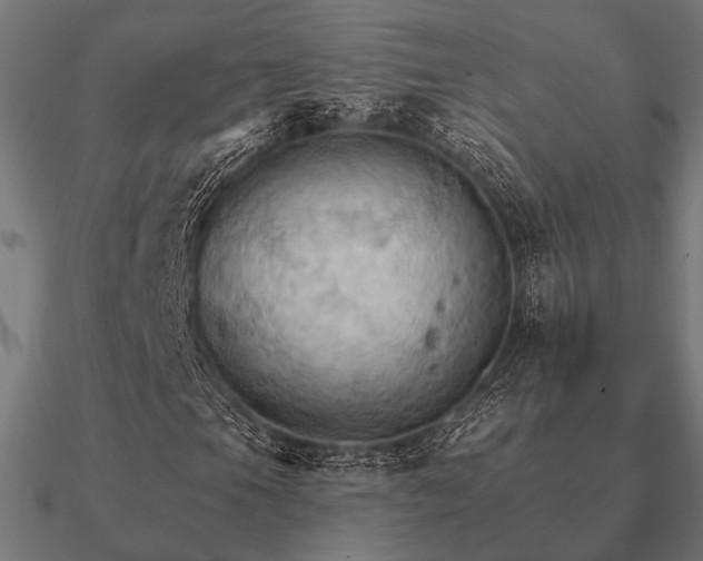 X0000090911105200708061517