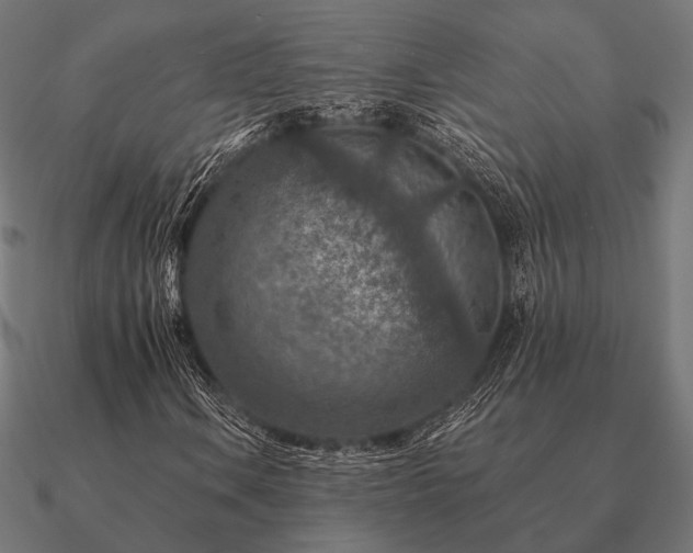 X0000090911106200708061517