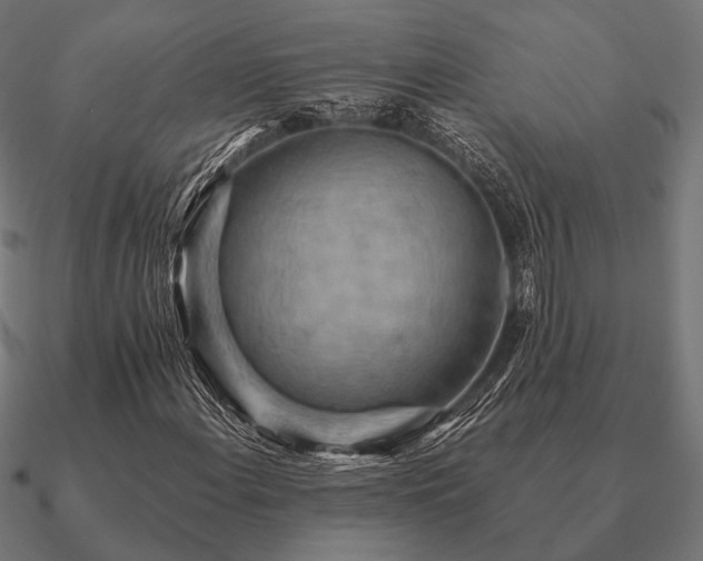 X0000090911108200708061517