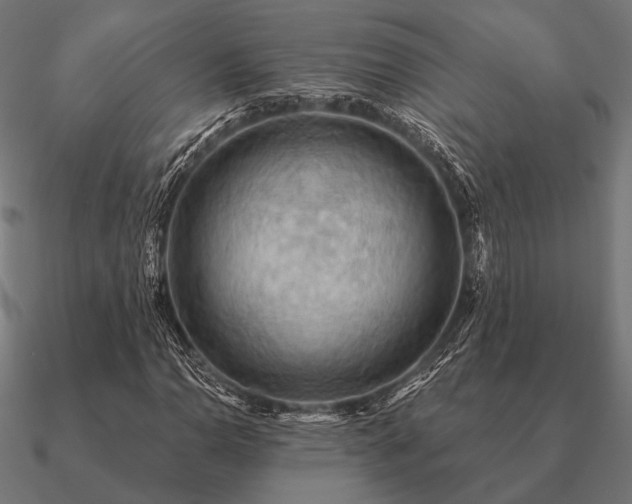 X0000090911110200708061517