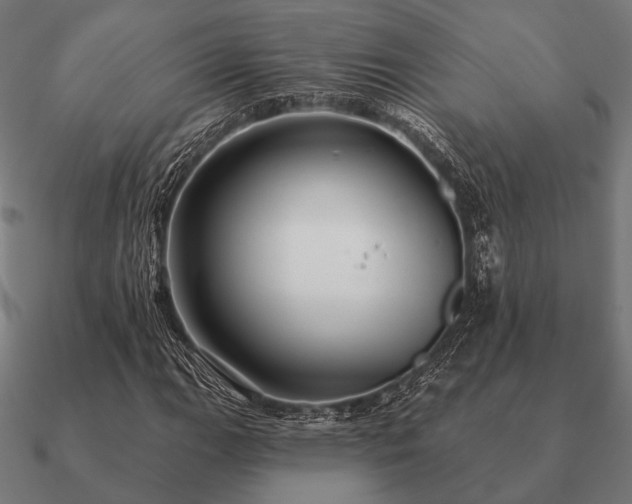 X0000090911111200708061517