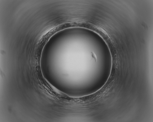 X0000090911112200708061517