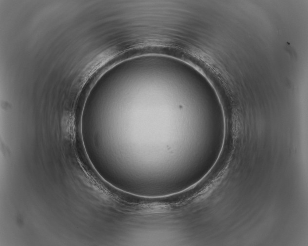 X0000090911113200708061517