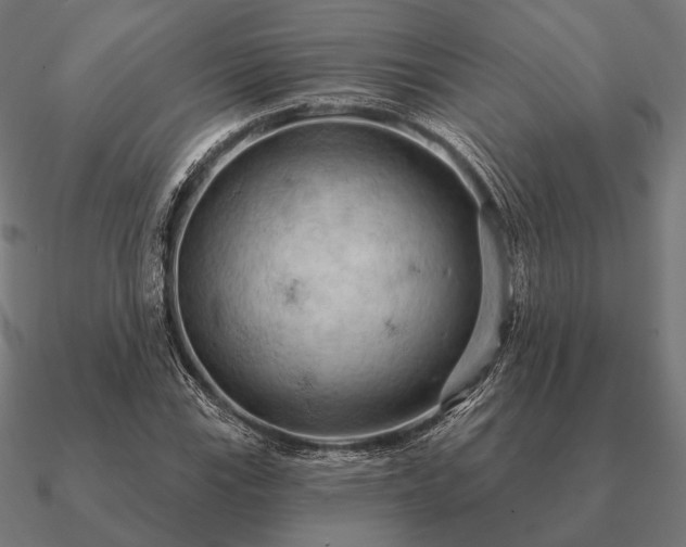 X0000090911115200708061517