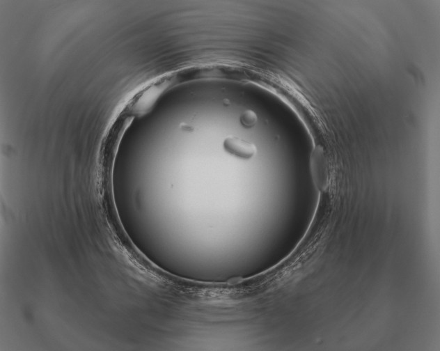 X0000090911116200708061517