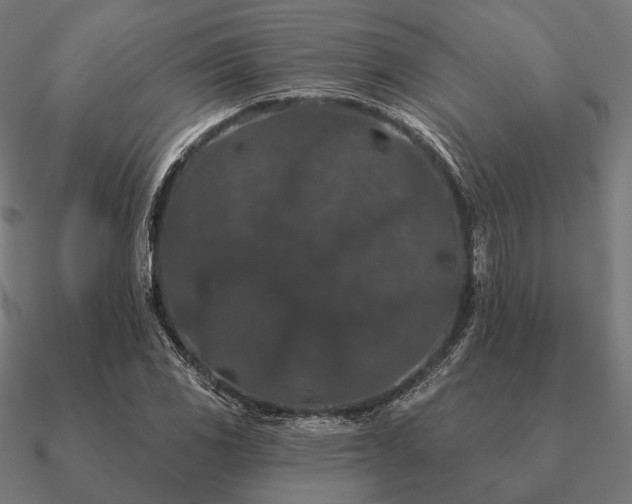 X0000090911117200708061517