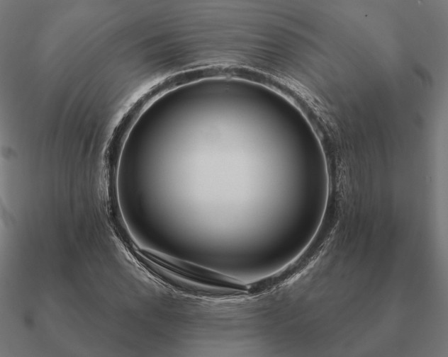 X0000090911118200708061517