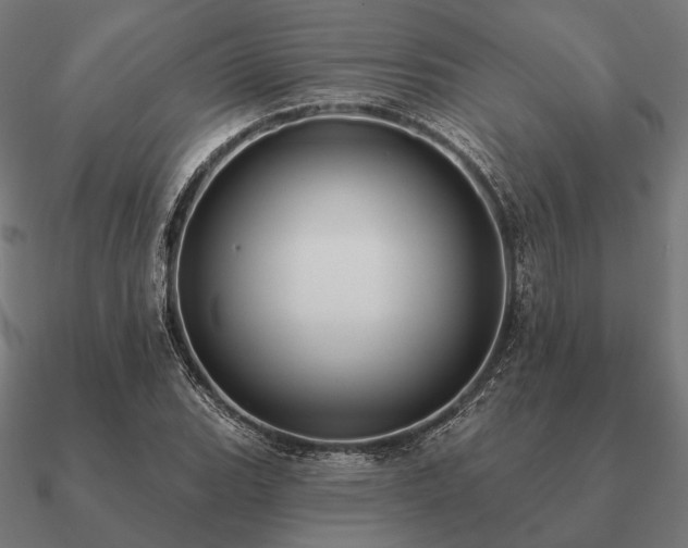 X0000090911119200708061517