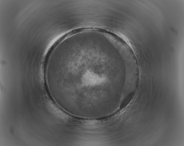 X0000090911120200708061517