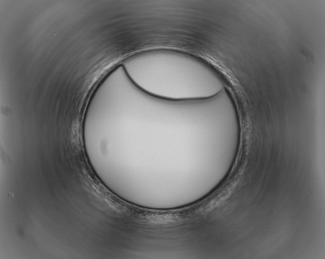 X0000090911121200708061517