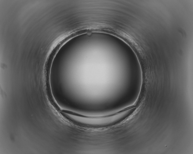 X0000090911122200708061517