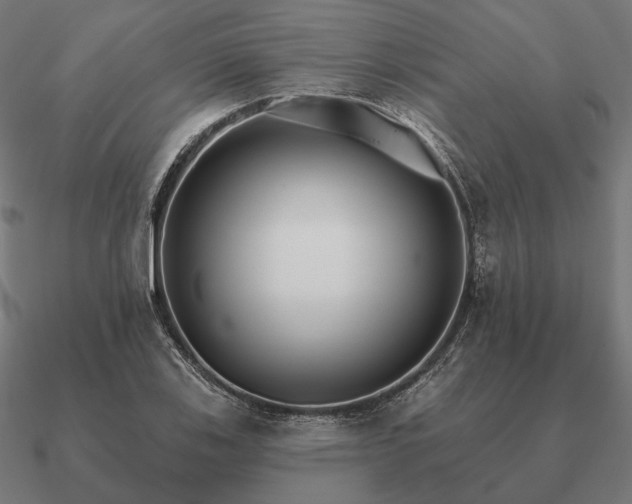 X0000090911123200708061517