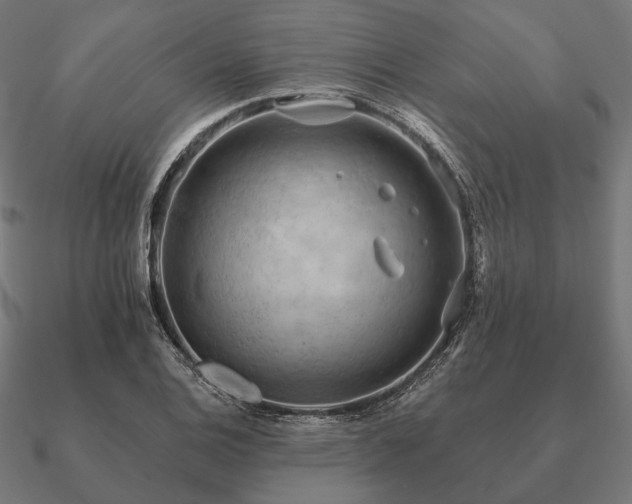 X0000090911124200708061517