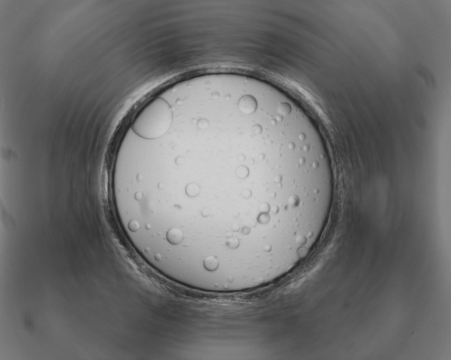 X0000090911125200708061517