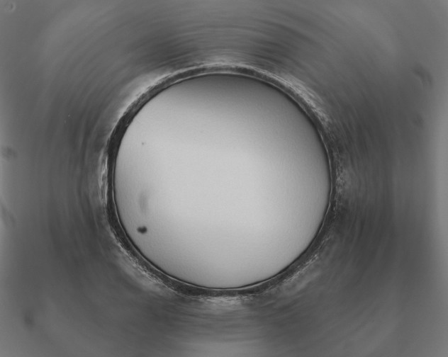 X0000090911126200708061517