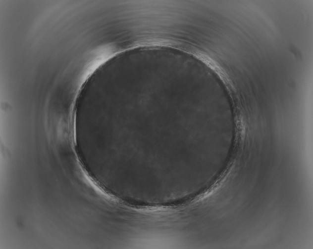 X0000090911127200708061517