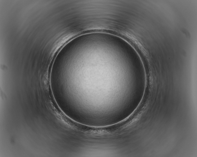 X0000090911129200708061517