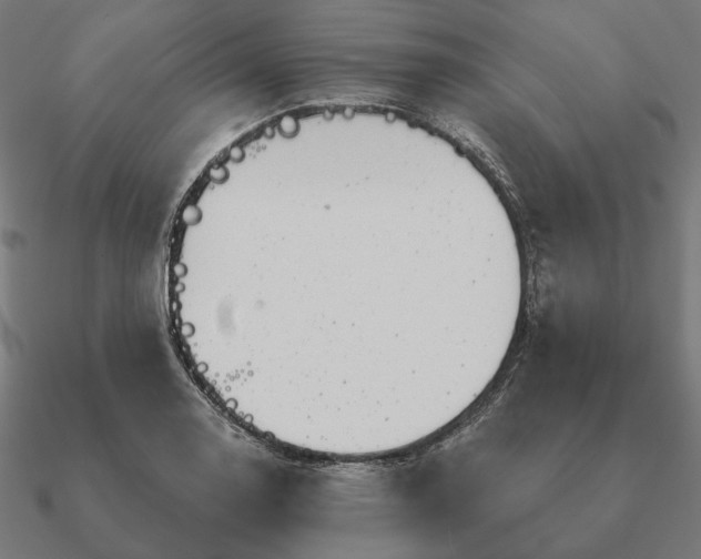 X0000090911130200708061517