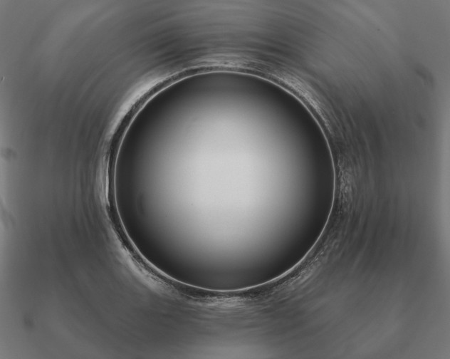 X0000090911131200708061517