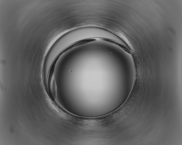 X0000090911132200708061517