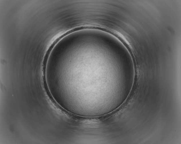 X0000090911133200708061517