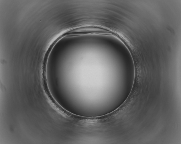 X0000090911134200708061517