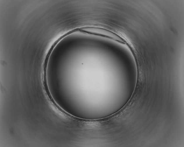 X0000090911136200708061517